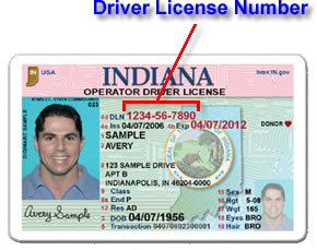 ohio drivers license template free